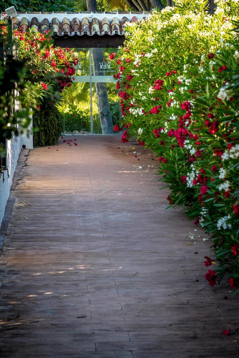 Marbella Banus Suites - Lily Playas Del Duque Banus Beach Apartment Exterior photo